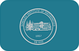 Sobolev Institute of Mathematics